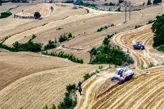 170c273986435874f26d7bee54372dad_aihz4613_b.jpg 170c273986435874f26d7bee54372dad_aihz4613_b.jpg