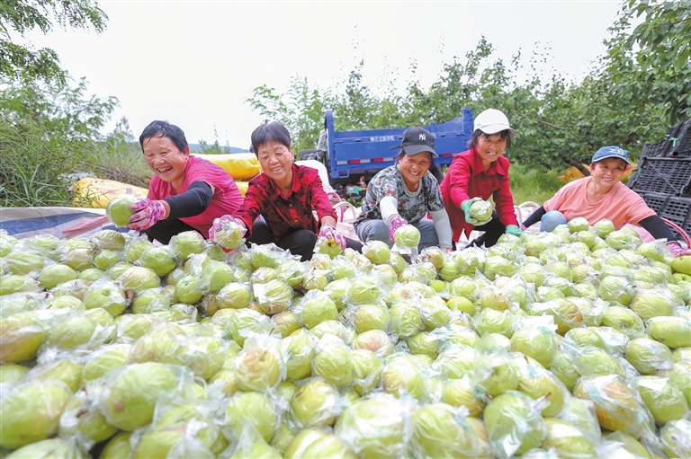 cd28a36c320bc9d24fdc95450d71bd4c_lfrb0906001_009_01_s.jpg cd28a36c320bc9d24fdc95450d71bd4c_lfrb0906001_009_01_s.jpg