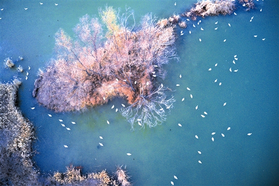 ba3c32e83f03e213a41ff5ef5c6093cf_xuaz5174_b.jpg ba3c32e83f03e213a41ff5ef5c6093cf_xuaz5174_b.jpg