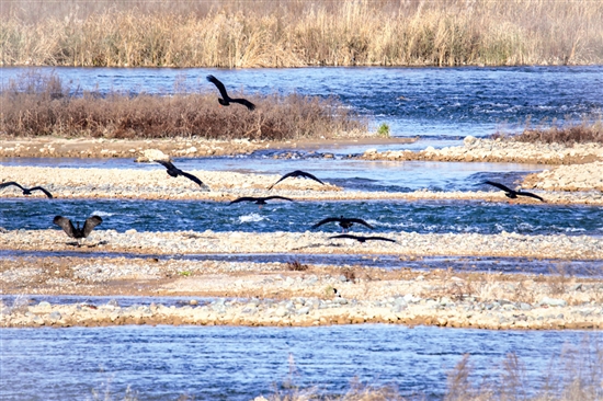 540bed85a128eb9692ba581c821f2203_mengj5168_b.jpg 540bed85a128eb9692ba581c821f2203_mengj5168_b.jpg