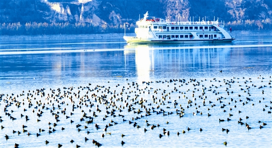 2e2063383e44865e775b07f0c7da5e02_shir51123_b.jpg 2e2063383e44865e775b07f0c7da5e02_shir51123_b.jpg