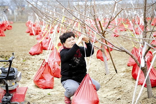 bf68bf03192be2919a5051dec81df7ec_mengj53151_b.jpg bf68bf03192be2919a5051dec81df7ec_mengj53151_b.jpg