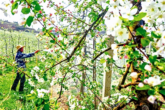 4e806c791044e62abc81627e72b0f2ea_fangmy5476_b.jpg 4e806c791044e62abc81627e72b0f2ea_fangmy5476_b.jpg