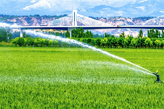 63ef88f8e9173a349d17976d81fcea19_wangyw55112_b.jpg 63ef88f8e9173a349d17976d81fcea19_wangyw55112_b.jpg