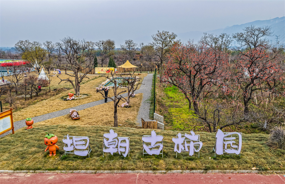 ​“五朵金花”添新彩